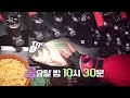 예고 fishingtv 일격 nighthawks 8화 초저녁 행운의 일격 2024.11.29.방송