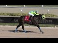 gulfstream park replay show november 22 2024