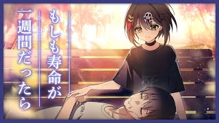 もし人間の寿命が一週間になったらどうなるのか？【アニメ】【漫画動画】