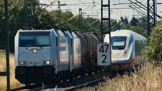 Makrofon Br 186 (2x + Güterzug) und ICE 4, Riedbahn