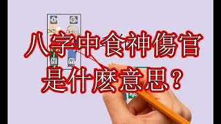 八字中食神伤官是什么意思？手绘详解！带你秒懂八字！