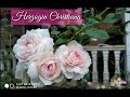 Herzogin Christiana rose