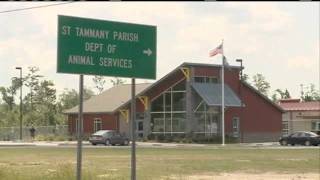 Trustee Recaptured After Disappearing