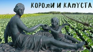 короли и капуста