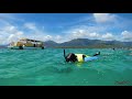 hawaii 2019 ハワイ（サンドバー　シュノーケリング u0026ウミガメウォッチクルーズ ）snorkeling u0026 sea turtle watch cruise