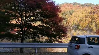 autumn 2021¦¦ Momiji lake¦¦ Nagano Japan¦¦