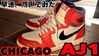 早速エアジョーダン１シカゴ履いてお出かけしてみた！AIR JORDAN 1