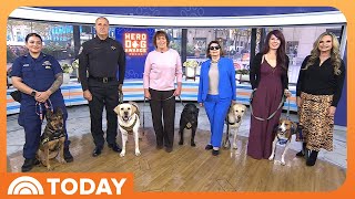 2025 American Humane Society Hero Dog Revealed on TODAY!