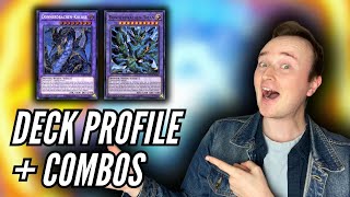 DOPPELT hält BESSER!! Thunder Dragon! DECK PROFILE + COMBOS!