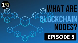 What are Blockchain Nodes? | Crypto 101 | Episode 5