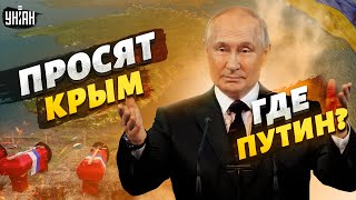 Волна гробов, куда пропал настоящий Путин, РФ умоляет "подарить" Крым - Тизенгаузен
