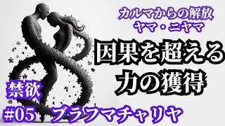 カルマを知るための力。禁欲　ブラフマチャリヤ　[カルマからの解放　ヤマ・ニヤマ　05]