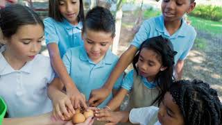 A New Revolution in Agriculture