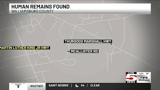 VIDEO: Deputies: Human remains found in Kingstree