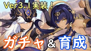 【原神】Ver3.1実装！セノ＆キャンディス＆赤砂の杖ガチャして育成！！～夜に別枠で22万ぶち込みセノ\u0026キャンディス完凸する～【Genshin Impact】