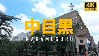 中目黒 A walk by Meguro River at Nakameguro, Starbucks Reserve [4K 60fps ASMR]