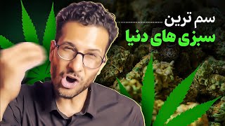 ۷ نژاد برتر ماری جوانا در دنیا بر اساس خلوص THC