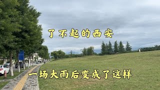 一场大雨后的西安，变成了这样。眼前景象竟然没有被发现