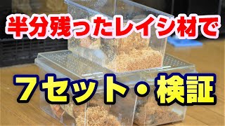 オウゴンオニクワガタ・ハンドペアリング・新発見を２つ紹介！！残った材で７セット結果報告・オウゴンオニクワガタチャンネル！！