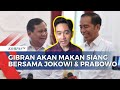 Gibran Sebut akan Makan Siang Bersama Jokowi dan Prabowo di Solo