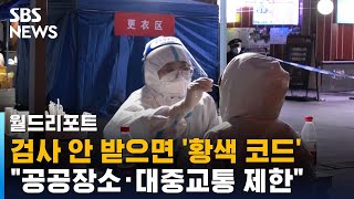 중국, 하루에 두 번 코로나 검사…봉쇄 · 격리자 수 2억 명 / SBS