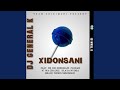 Xidonsani (feat. dr Joe Shirimani, Dlaya nyoka, Florah n'wa Chauke & Brace Thorn Shirimani)