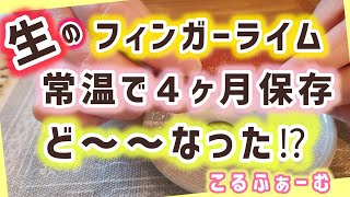 【 フィンガーライム 】果実を４ヶ月あの方法で