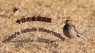 今日の自然観察　Today's nature observation　JAPAN  2025/1/9