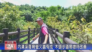 1130719觀天下新聞 內溝溪復育螢火蟲有成 木頭步道易壞待改善