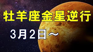 【金星逆行】大切な人との関わり方を振り返る2025.3.2星読み