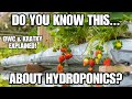 HYDROPONICS EXPLAINED! DWC vs KRATKY