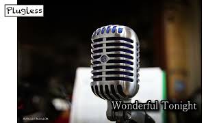 竹下アツシ Wonderful Tonight TOKAI Pluglessレーベル クロサワ楽器 [Plugless 441hz]