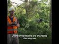 International Day of Forests 2024: Forests and innovation – new solutions for a better world