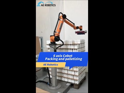 AUBO 6-axis 10kg collaborative robot for palletizing – Robotic palletizing system