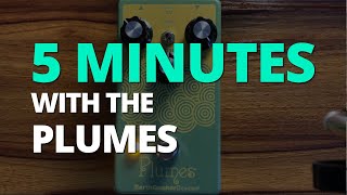 5 Minutes with the Plumes Overdrive - Pedal Demo