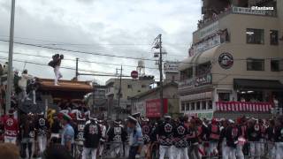 2011 岸和田だんじり祭り その１