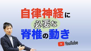 自律神経に必要な脊椎の動きとは？