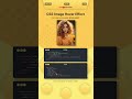 Awesome Image Hover Effects Using Only HTML & CSS! #htmlcss #csshovereffects #cssanimation #shorts