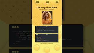 Awesome Image Hover Effects Using Only HTML & CSS! #htmlcss #csshovereffects #cssanimation #shorts