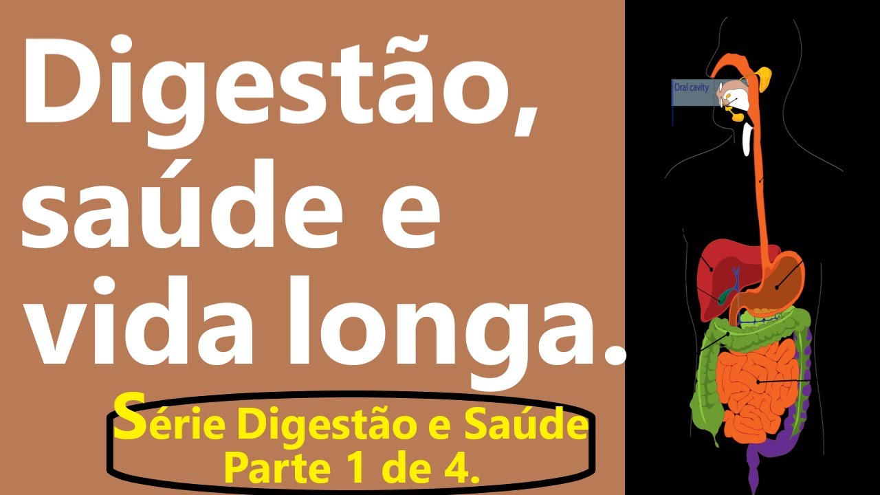 DICAS PARA UMA BOA DIGESTÃO. SAÚDE E VIDA LONGA DEPENDEM DISSO. - YouTube