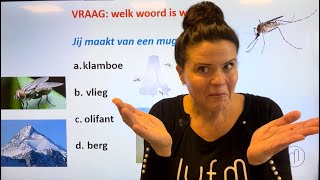 NT2 🦟⛰️🪰🐘nieuw spreekwoord! Iedereen kent ze, jij ook?Doe de quiz! #learndutch #proverbs in DUTCH