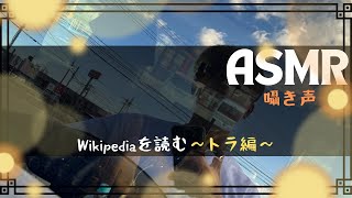 【ASMR】Wikpediaを読む -トラ編- 【囁き声 Whispering 】asmr