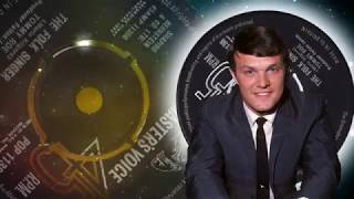 Tommy Roe  -  The Folk Singer