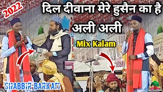 Shabbir Barkat e Mix Kalam - Dil Diwana Mere Hussain ka Hai | Ali Ali Ali | Sunni Tegi Network