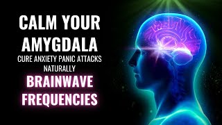 Calm Your Amygdala | Cure Anxiety Panic Attacks Naturally | Brainwave Frequencies | Amygdala Music