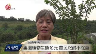 推動有機種植 台東農改場邀農民觀摩 2015-10-12 TITV 原視新聞