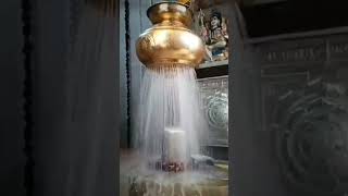 Shiv Dhun Om Namah Shivay Full By Anuradha Paudwal Om Namah Shivay IShiv Dhuni