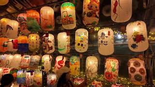 New Taipei Lantern Festival 2025新北燈會 20250206 POCKET 3 DLOG