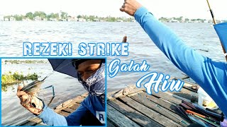 Rezeki strike//galah bertemu Hiu