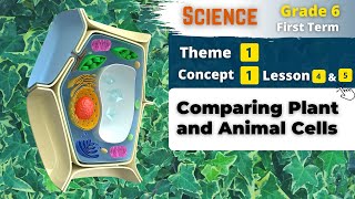 Grade 6 | Comparing Plant and Animal Cells | Theme 1 - Concept 1 - Lesson 4&5 | Science